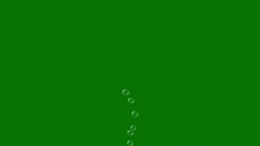 Yeşil Ekranda Uçan Baloncuklar