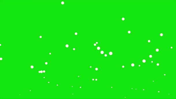 Bubbles Flying Green Screen — Stock Video