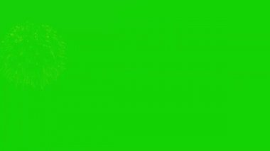 Yeşil Ekran Arkaplanındaki Havai fişekler