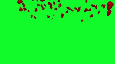 Yeşil Ekrana Düşen Kalpler