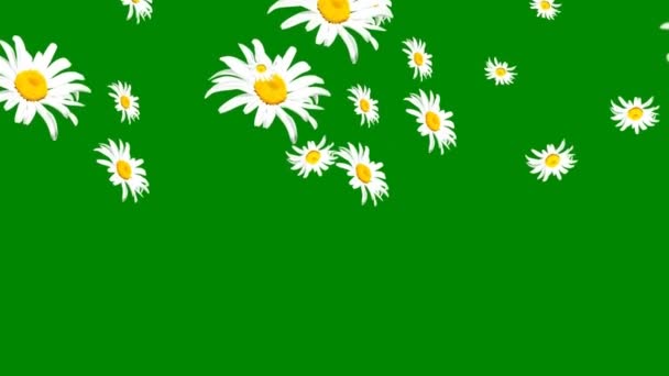 緑の画面に落ちる花 — ストック動画