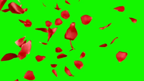 Płatki Róż Spadające Zielony Ekran — Wideo stockowe