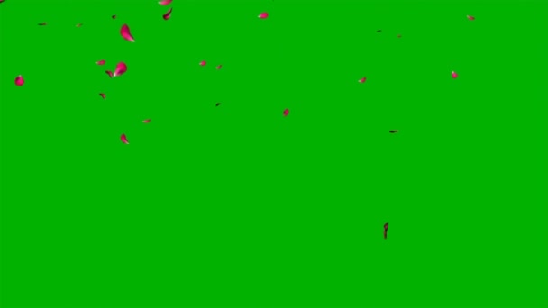 緑の画面に落ちるバラの花びら — ストック動画