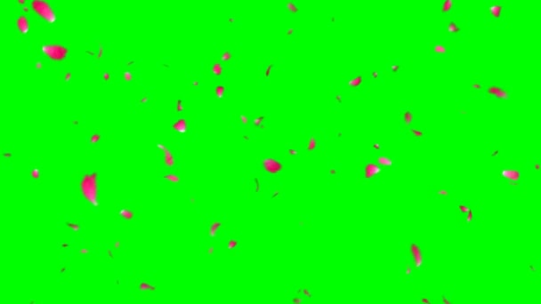 玫瑰花瓣在绿色屏风中飞翔 — 图库视频影像