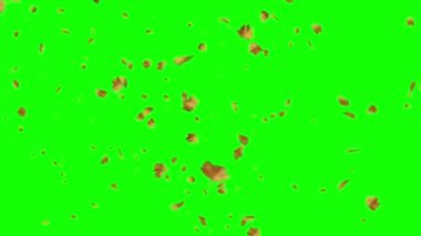 Yeşil Ekranda Uçan Yapraklar