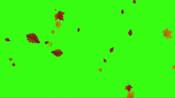 Liście Latające Zielonym Ekranie — Wideo stockowe