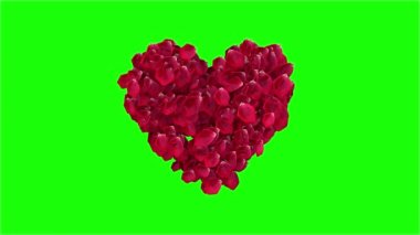 Kalp Yeşil Ekranda Uçuyor