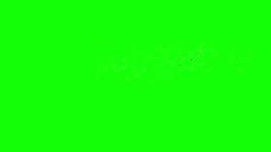 Yeşil Ekranda Uçan Bal Arıları Sürüsü