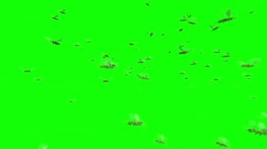 Yeşil Ekranda Uçan Bal Arıları Sürüsü