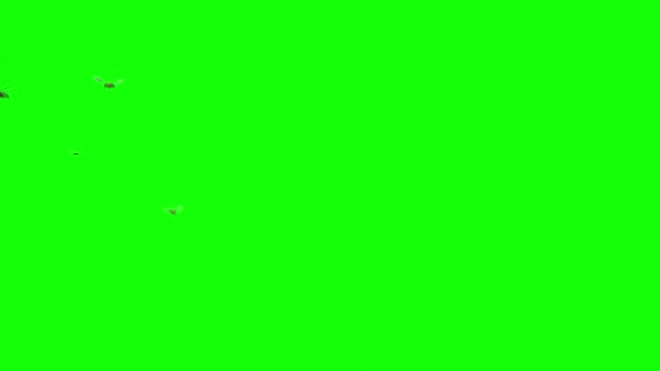 绿屏上飞舞的蜂群 — 图库视频影像