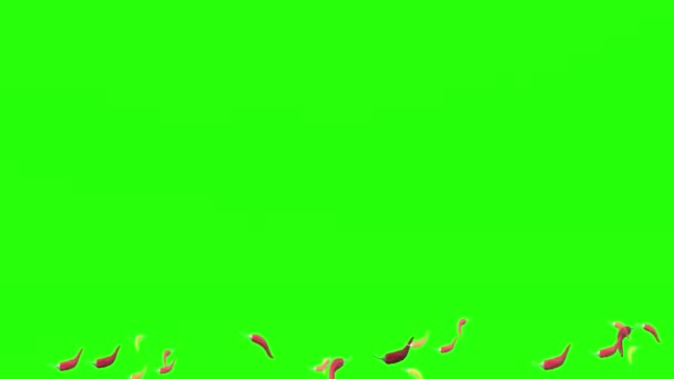 Субтитры Chilli Roller Green Screen — стоковое видео