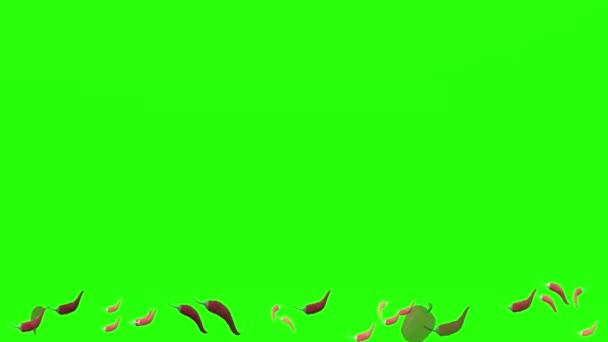 Chilli Roller Vegetables Green Screen — Video