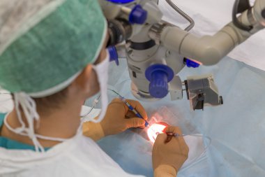 Bimanual cataract extraction