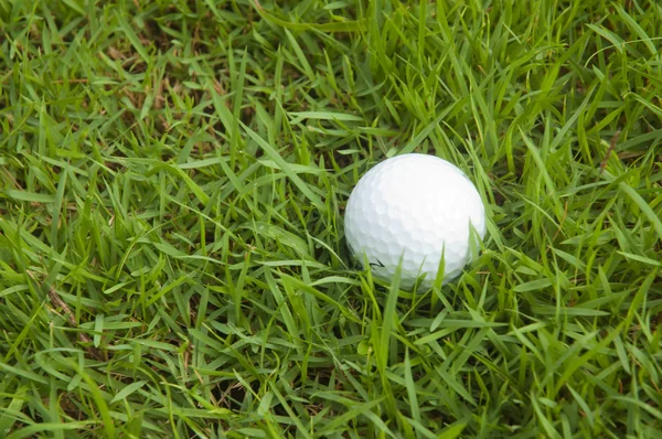 Pelota Golf Hierba — Foto de Stock