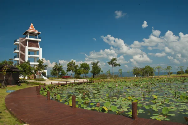 Tower Lotus Pond View Tower — Stock Photo, Image