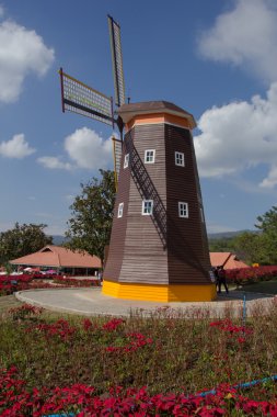 Kırmızı çiçekler & güzel yel değirmeni