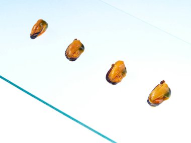 Kahverengi soslu konserve midye..