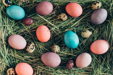 Paskalya arka plan alma