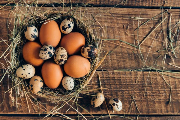 Яйця в мисці з сіном — стокове фото
