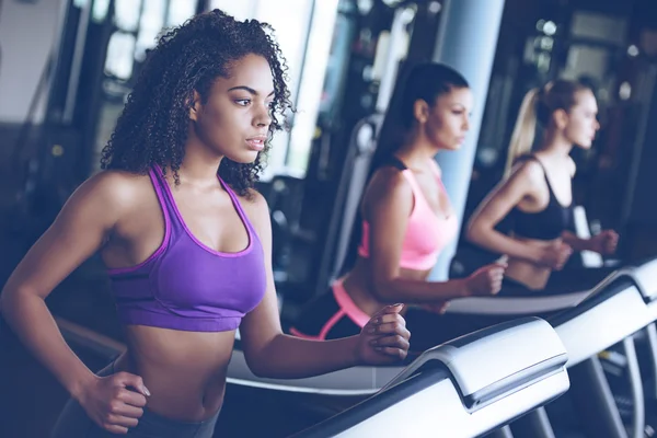 Women running on treadmill at gym — Stockfoto