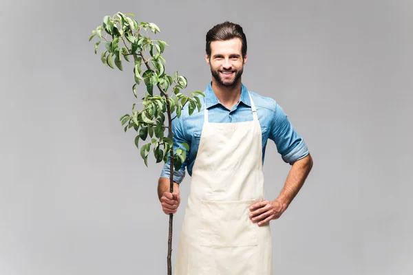 Homem carregando árvore verde — Fotografia de Stock