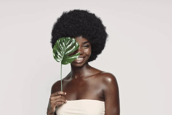 Portret van een mooie jonge Afrikaanse vrouw met een plant in de buurt van gezicht en glimlach — Stockfoto