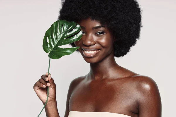 Portret van een mooie jonge Afrikaanse vrouw met een plant in de buurt van gezicht en glimlach — Stockfoto