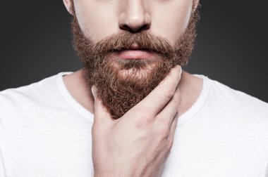 young bearded man touching his beard clipart