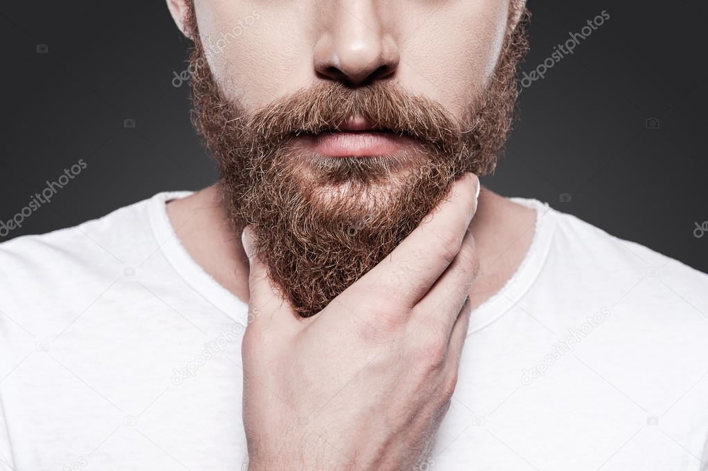 young bearded man touching his beard