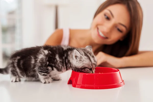 Pequeno gatinho comendo comida da tigela — Fotografia de Stock