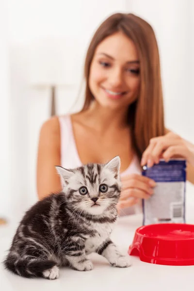 Pliegue escocés gatito y mujer abriendo un pack con comida para gatos — Foto de Stock