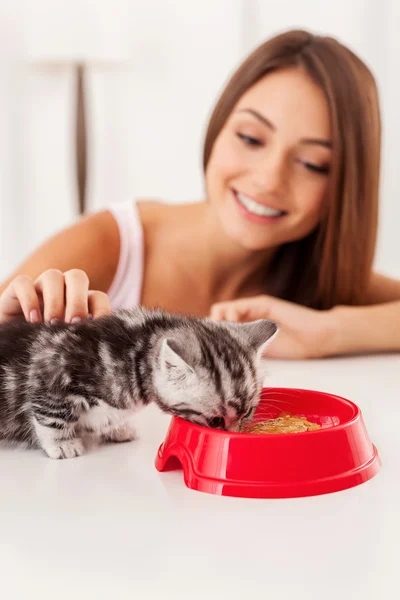 Kleines Kätzchen frisst Futter aus der Schüssel — Stockfoto