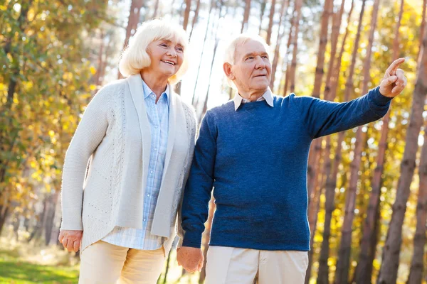 Senior couple holding hands and walking — Stock Photo, Image
