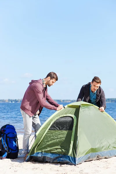 Young men setting up a tent — Stock Photo, Image