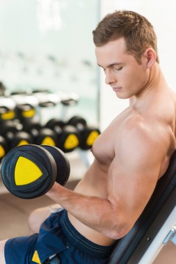 kaslı adam halterle eğitim