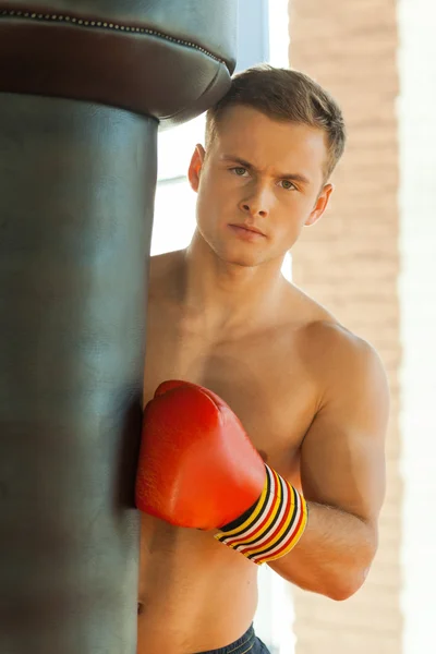 Boxer in sports gloves — Stock Photo, Image