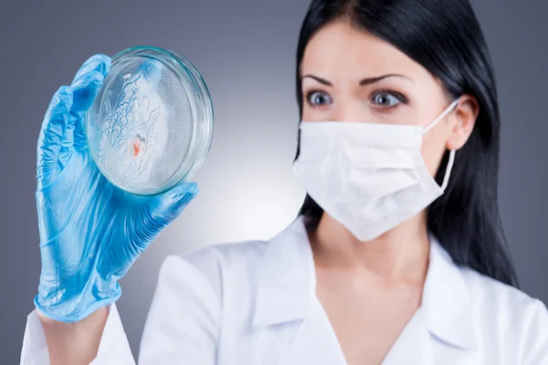 Female doctor holding Petri Dish — Stock Photo, Image