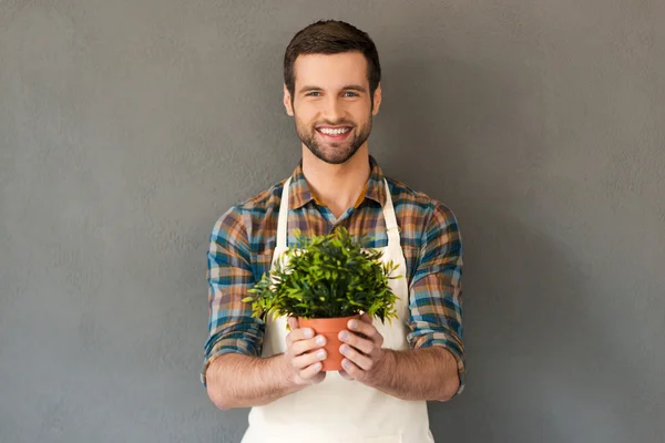 Gardener holding flower pot — Stock Photo, Image