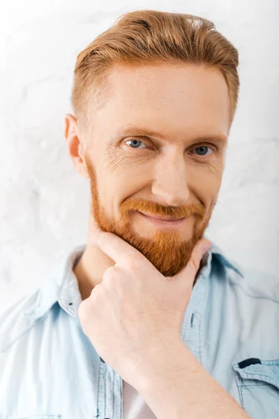 Bearded man holding hand on chin — Stock Photo, Image