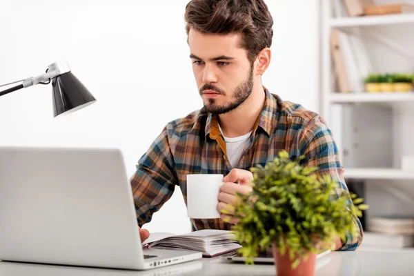 Hombre que trabaja en el ordenador portátil y taza de celebración — Foto de Stock