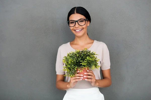 Happy young businesswoman holding plant — 图库照片