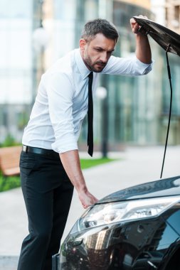 ciddi genç işadamı