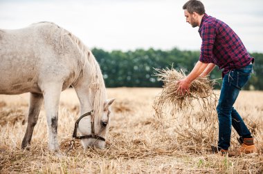 hay at için dışarı uzanan çiftçi