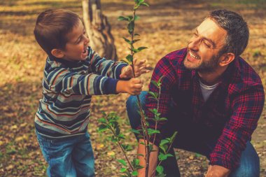 man planting tree with little son clipart