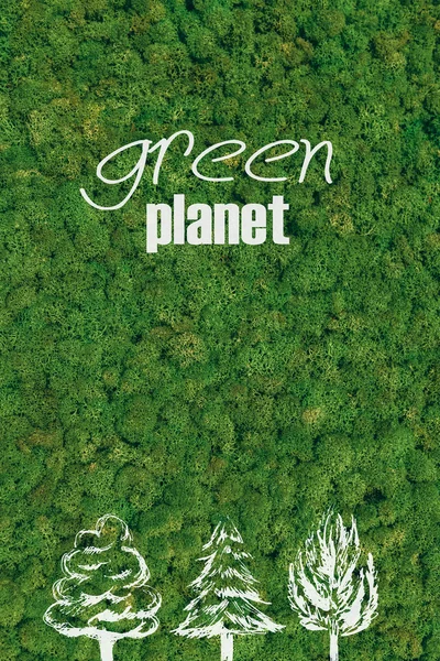 Green planet concept at the moss background — 图库照片