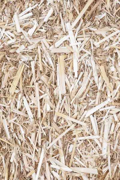 Sonbahar saman arka plan