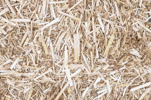 Sonbahar saman arka plan