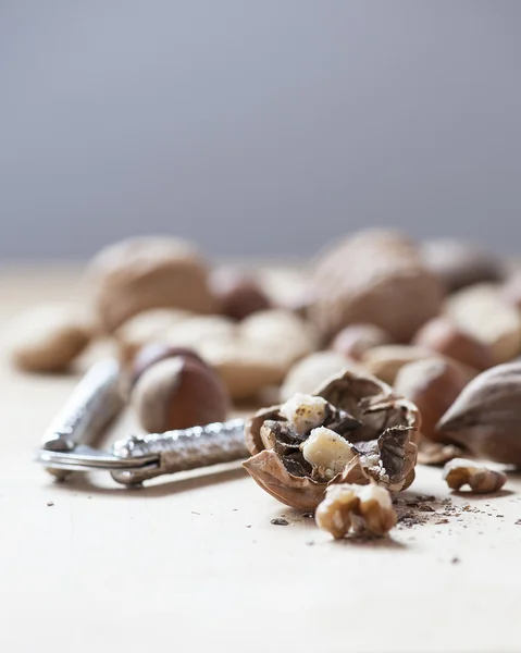 Karışık tatil fındık