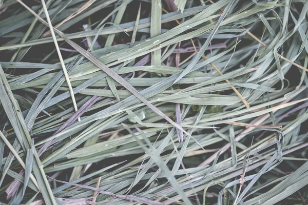 Yeşil saman balya arka plan