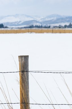 Doğal ülke Winterscape